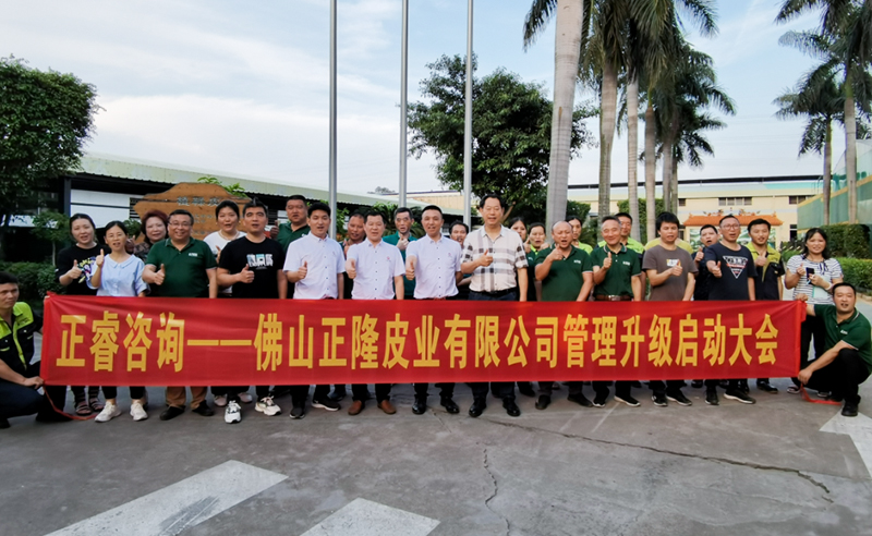 助力皮革行業(yè)再樹標桿——正隆皮業(yè)全面管理升級項目啟動！