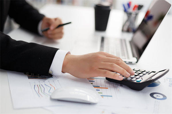 精細(xì)預(yù)算管理，助力企業(yè)騰飛：實現(xiàn)利潤最大化的秘訣