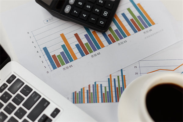 預(yù)算管理信息化建設(shè)：提升管理效率，降低管理成本