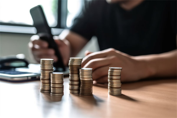 環(huán)境快速變化，如何確保預(yù)算執(zhí)行的靈活性和適應(yīng)性？