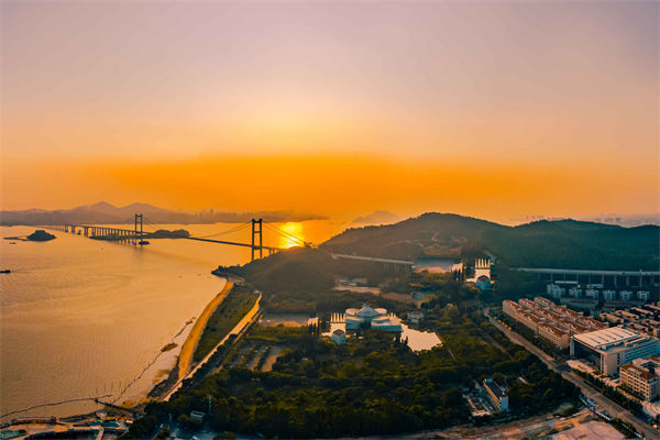 東莞供應(yīng)鏈咨詢公司如何優(yōu)化企業(yè)供應(yīng)鏈流程？