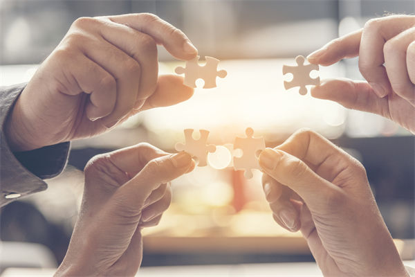 如何構建高效的集團管控體系，驅(qū)動企業(yè)穩(wěn)健前行？