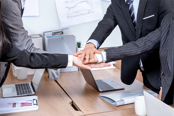 如何有效構(gòu)建集團(tuán)管控體系以提升整體運(yùn)營(yíng)效率？