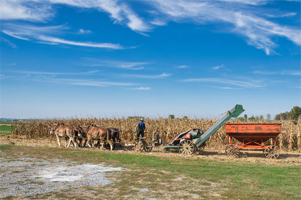 從績(jī)效管理角度分析：中國(guó)買巴西大豆讓美國(guó)農(nóng)民慌了