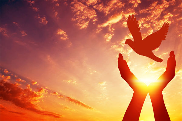 別讓盲卡盲盒“收割”孩子，關(guān)聯(lián)企業(yè)戰(zhàn)略怎么看？