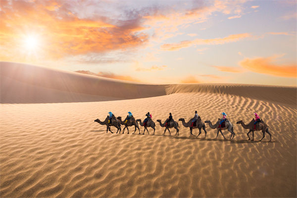 企業(yè)文化管理失效？這三大認知誤區(qū)為何拖垮團隊？