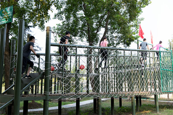 文化活動形式豐富多樣，組織凝聚力提升為何緩慢？